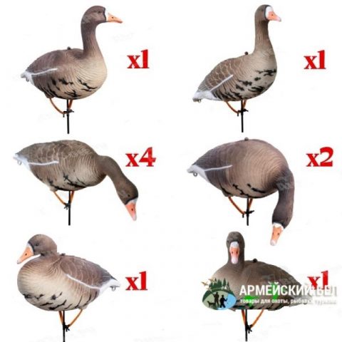 Чучела гусей Белолобый Softplast 3D BS-3D 2022